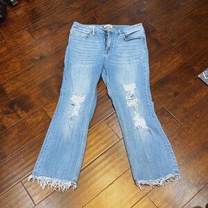 Vigoss Crosby Straight High Rise Jeans 31
